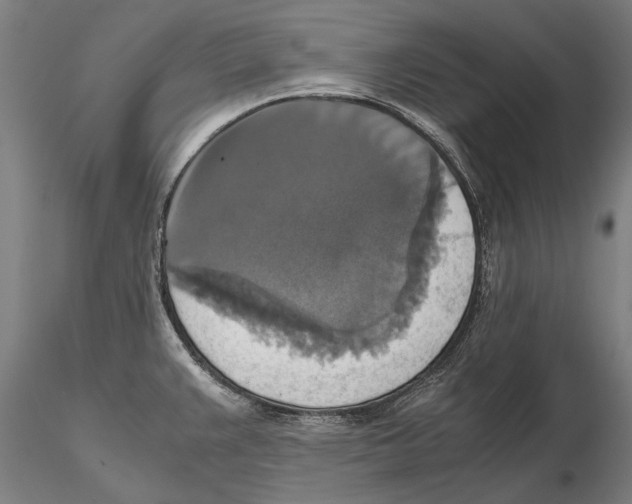 X0000115391383200912011218