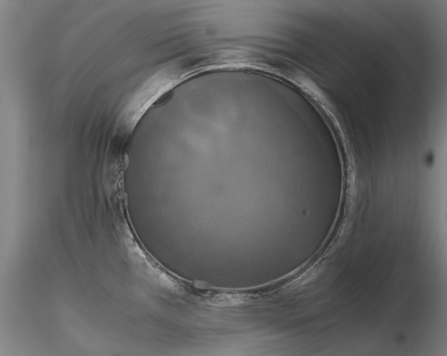 X0000115391385200912011218