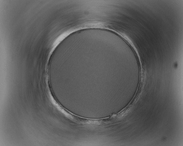 X0000115391389200912011218