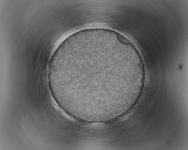 X0000115391390200912011218