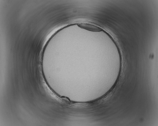 X0000115391392200912011218