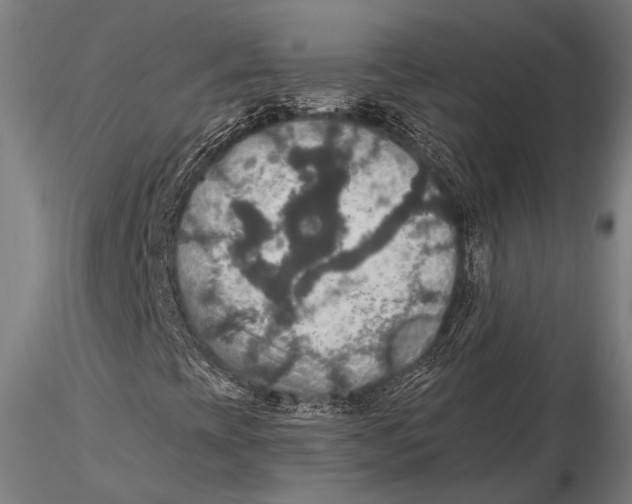 X0000115391393200912011218