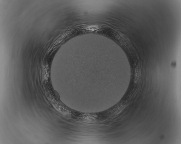 X0000115391394200912011218