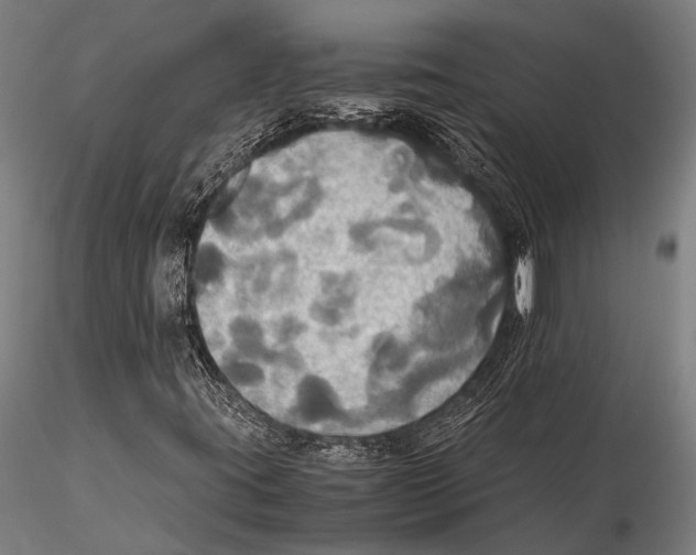 X0000115391395200912011218