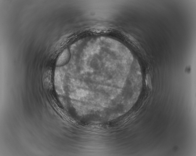 X0000115391396200912011218