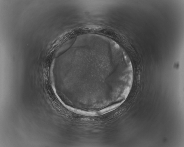 X0000115391397200912011218