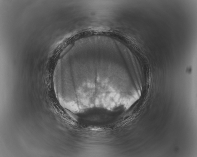 X0000115391398200912011218