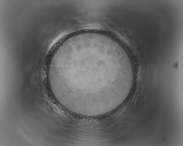 X0000115391400200912011218