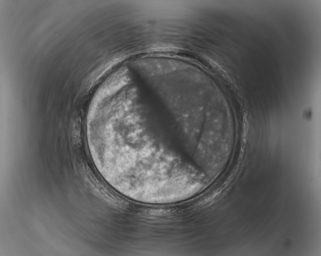 X0000115391401200912011218