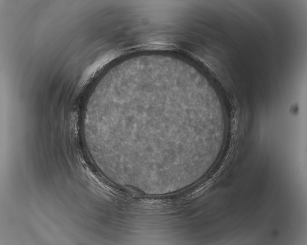 X0000115391402200912011218