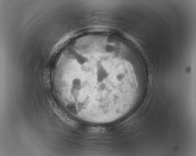 X0000115391403200912011218