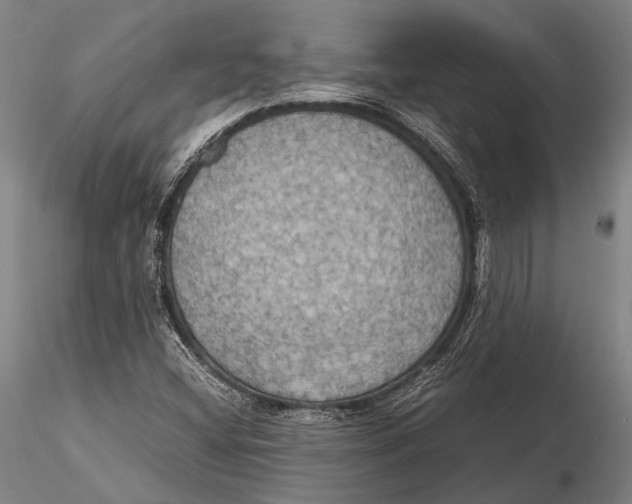 X0000115391404200912011218