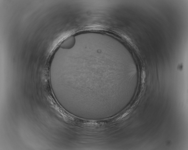 X0000115391405200912011218