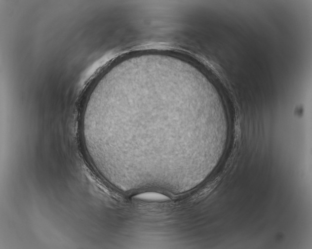 X0000115391406200912011218