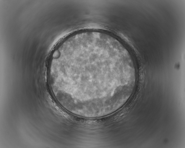 X0000115391408200912011218