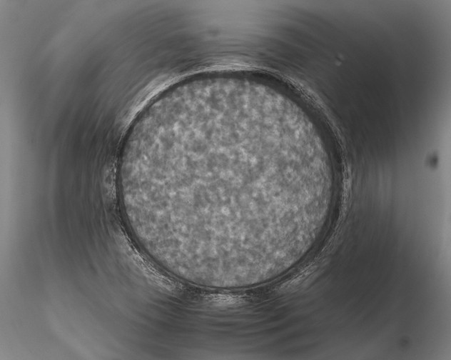 X0000115391409200912011218