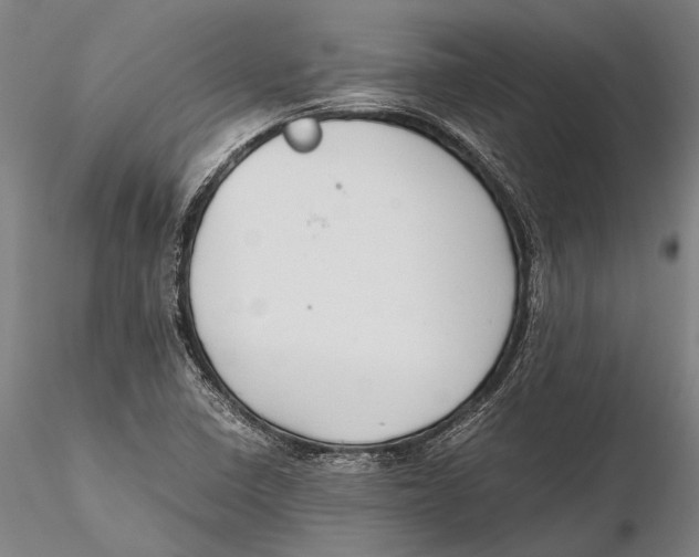 X0000115391410200912011218