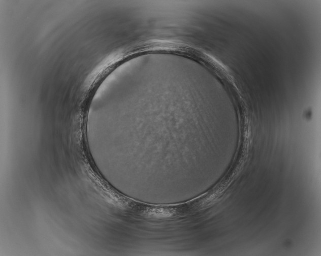 X0000115391411200912011218