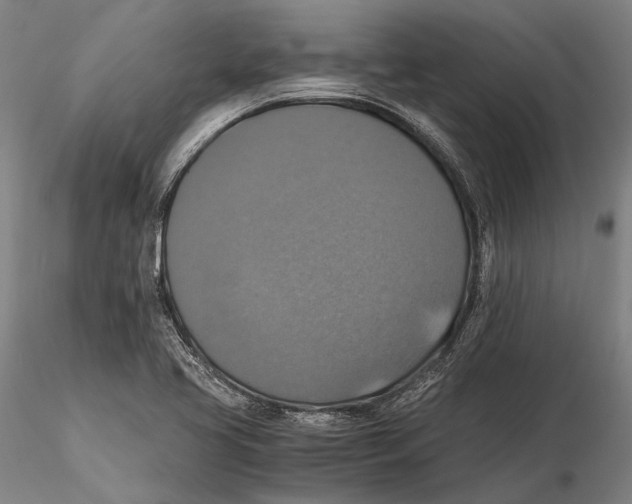 X0000115391413200912011218