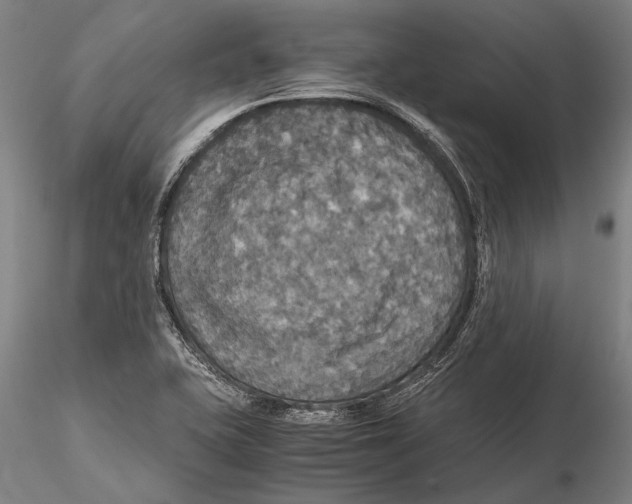 X0000115391415200912011218