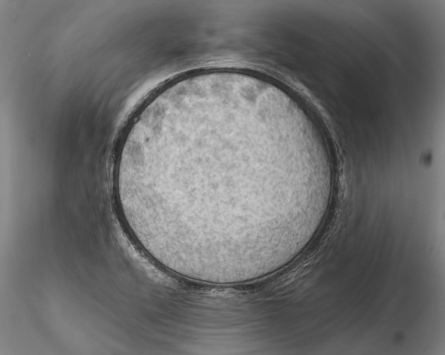 X0000115391416200912011218