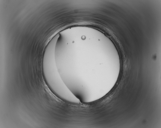 X0000115391417200912011218