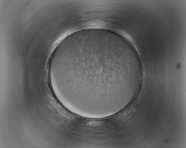 X0000115391419200912011218