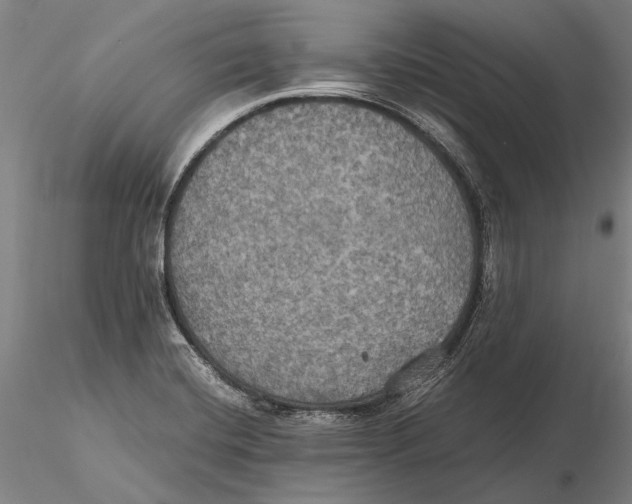 X0000115391420200912011218