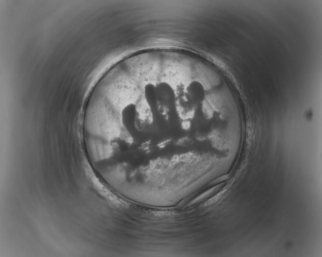 X0000115391421200912011218