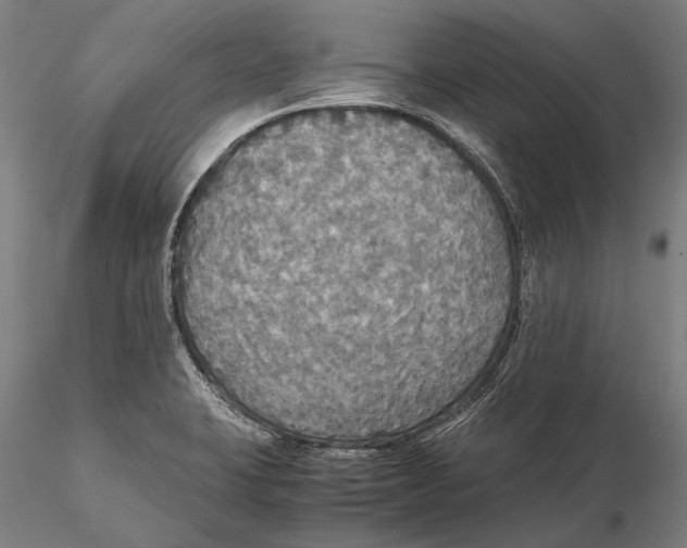 X0000115391423200912011218