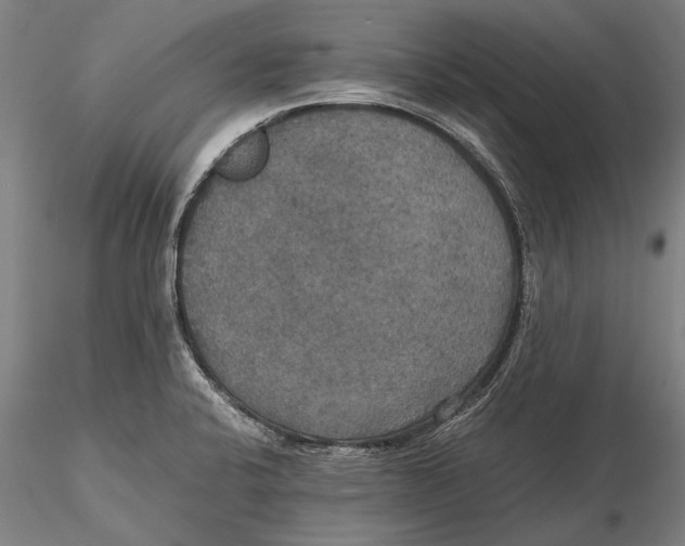 X0000115391424200912011218