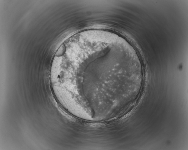 X0000115391425200912011218