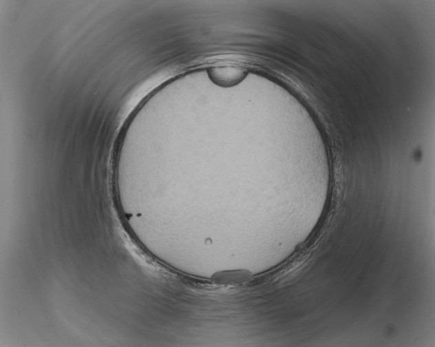 X0000115391426200912011218