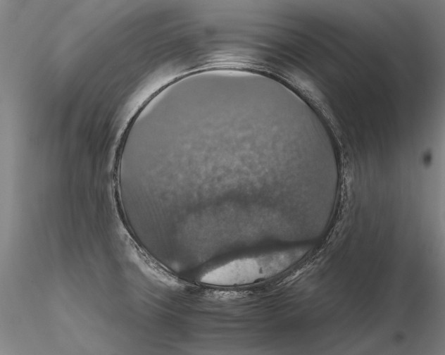 X0000115391427200912011218