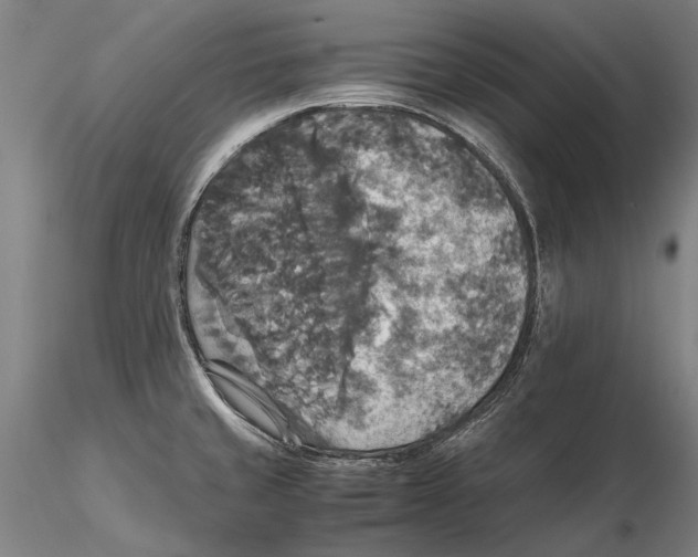 X0000115391429200912011218