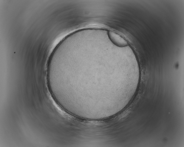 X0000115391430200912011218