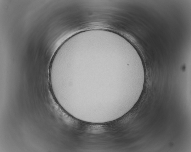 X0000115391431200912011218