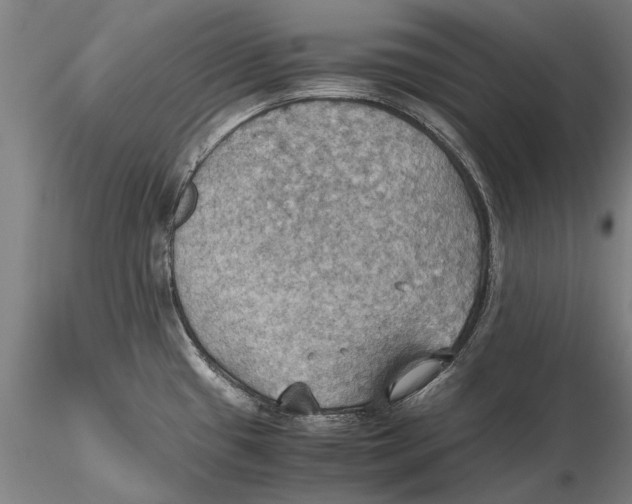 X0000115391433200912011218