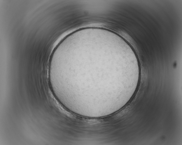 X0000115391436200912011218