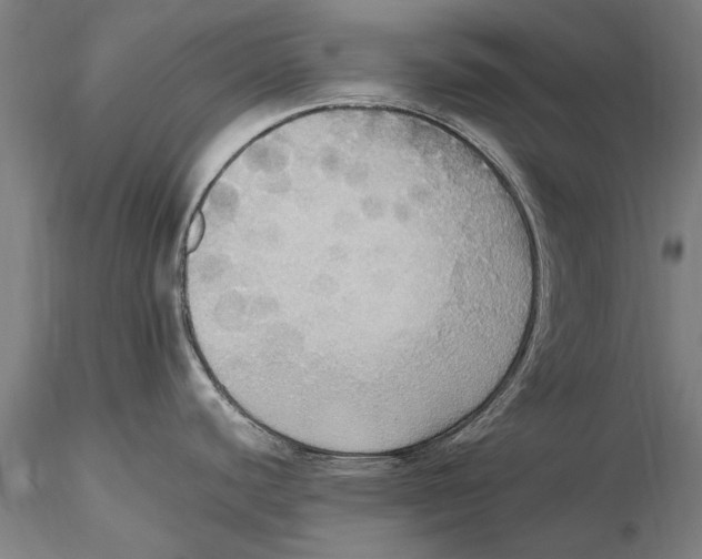 X0000115391440200912011218