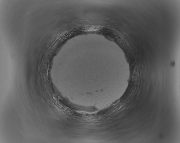 X0000115391441200912011218