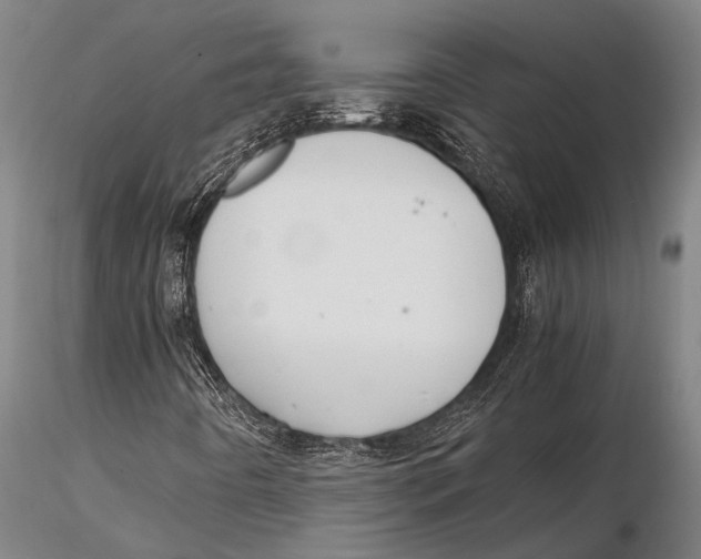 X0000115391442200912011218