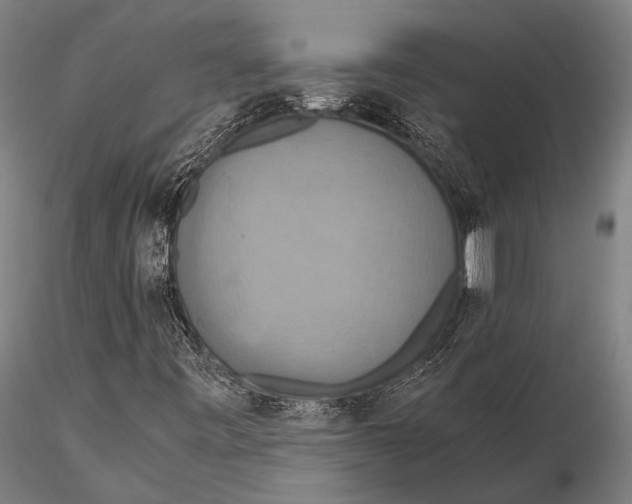 X0000115391443200912011218