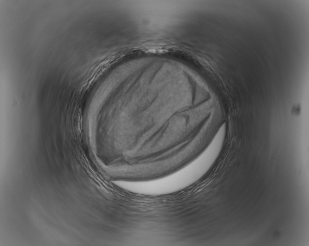 X0000115391444200912011218