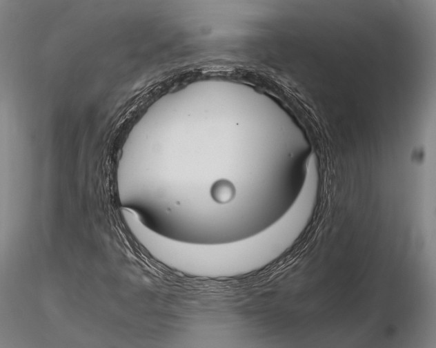 X0000115391445200912011218