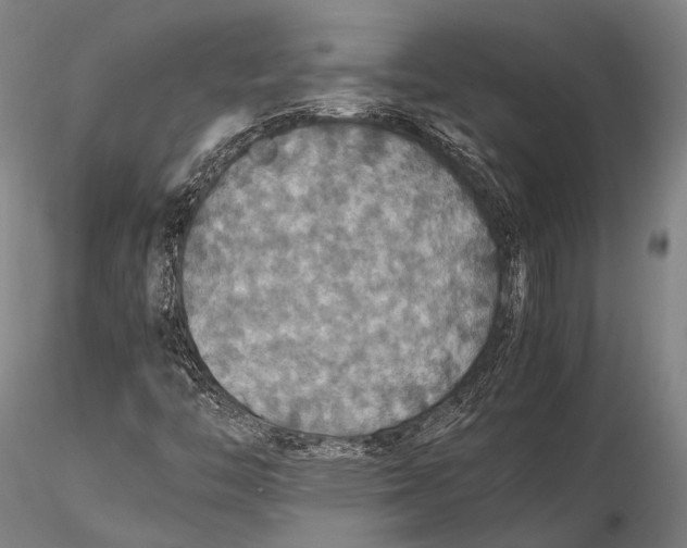 X0000115391446200912011218