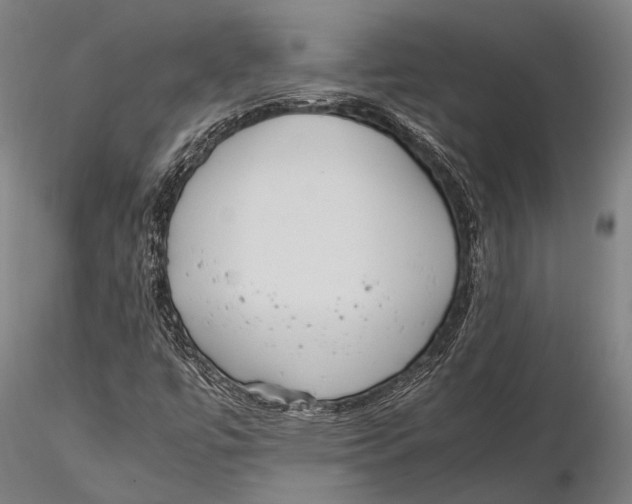 X0000115391447200912011218