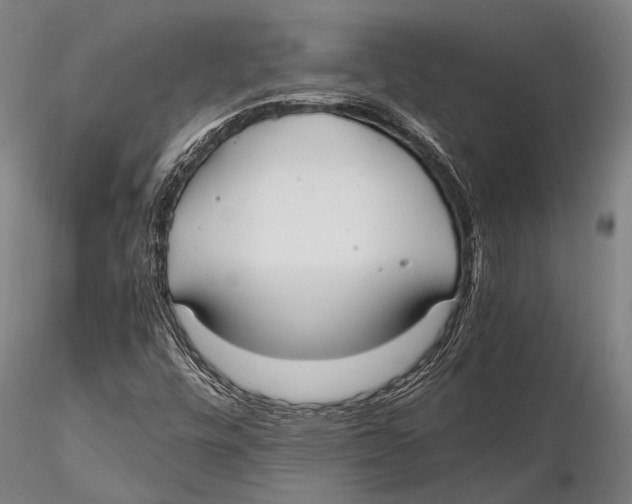 X0000115391448200912011218