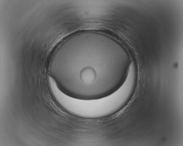 X0000115391449200912011218