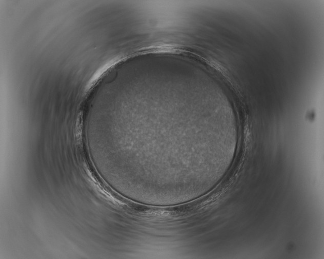 X0000115391450200912011218